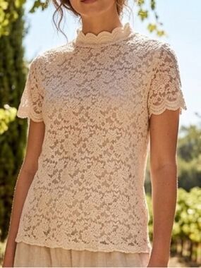 Elegant Stretch Lace Feminine Beige Top XL